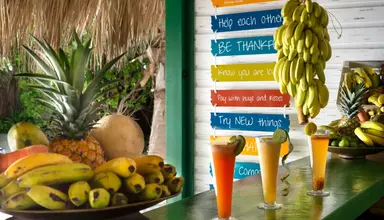 Catalonia Royal Bavaro