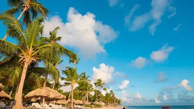 Catalonia Royal Bavaro