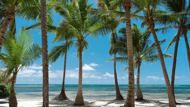 Catalonia Royal Bavaro