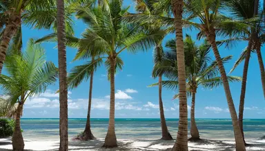 Catalonia Royal Bavaro