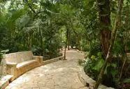 Catalonia Royal Tulum