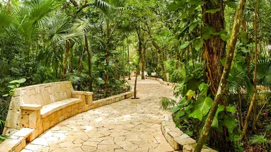Catalonia Royal Tulum