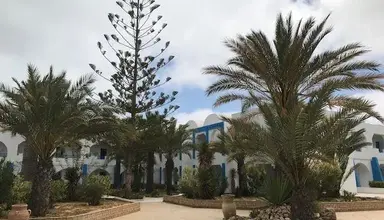 Cedriana