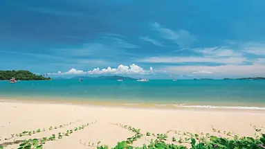 Celes Samui
