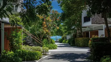 Celes Samui