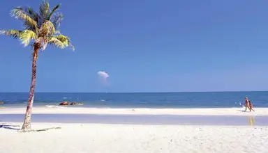 Centara Grand Beach Resort