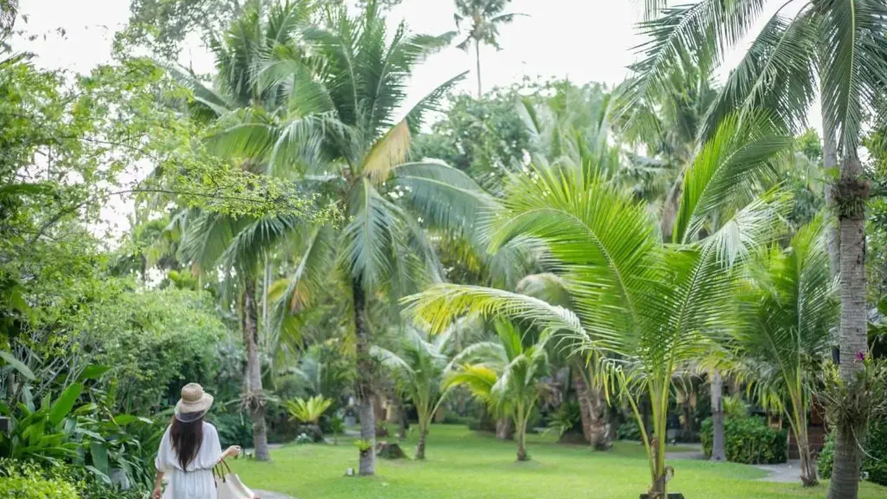 Centara Tropicana Resort & Spa Ko Chang