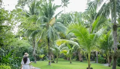 Centara Tropicana Resort & Spa Ko Chang