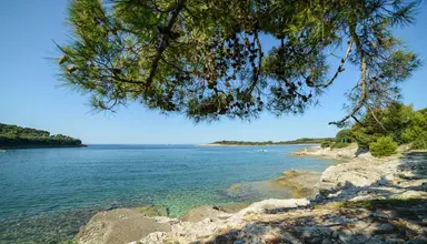 Centinera