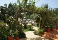 Central Sunny Beach