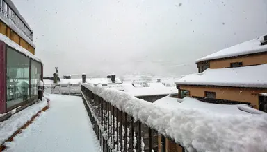 Cervol