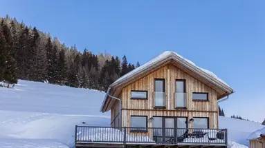 Chalet Almdorf Hohentauer