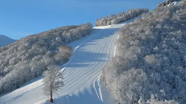 Chalet Morel 1586