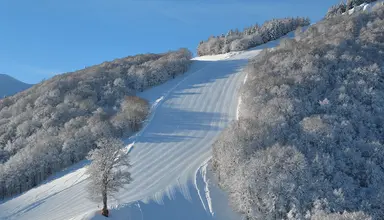 Chalet Morel 1586