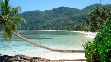 Chalets d'Anse Forbans