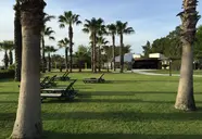 Champion Holiday Village