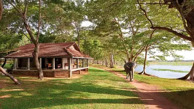 Chaya Village Harbarana