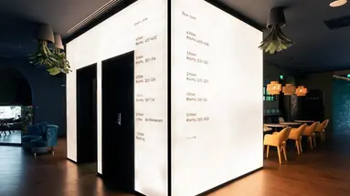 Chic & Basic Gravity