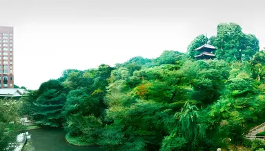 Chinzanso Tokyo