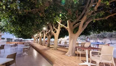 Chrissys Paradise 