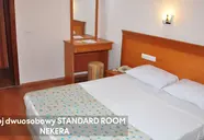 Cinar Family Suite