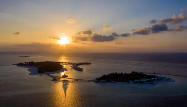 Cinnamon Hakura Huraa