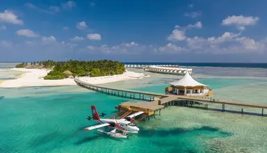 Cinnamon Hakura Huraa