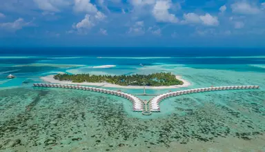 Cinnamon Hakura Huraa
