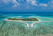 Cinnamon Hakura Huraa