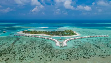 Cinnamon Hakura Huraa