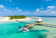 Cinnamon Hakura Huraa