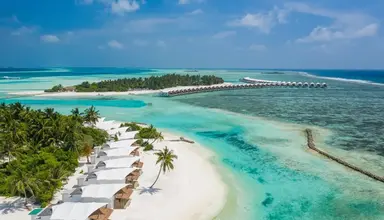 Cinnamon Hakura Huraa