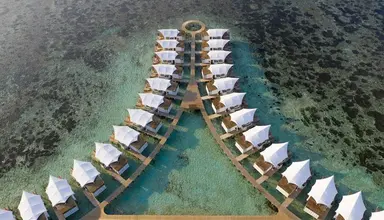 Cinnamon Hakura Huraa