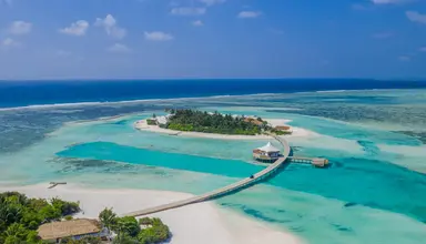 Cinnamon Hakura Huraa