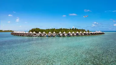 Cinnamon Hakura Huraa