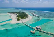 Cinnamon Hakura Huraa