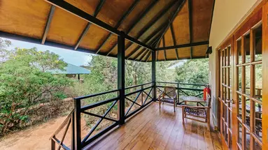 Cinnamon Wild Yala
