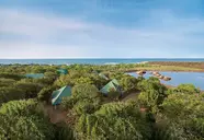 Cinnamon Wild Yala