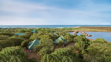 Cinnamon Wild Yala