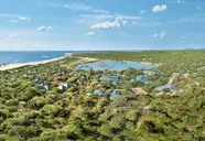 Cinnamon Wild Yala
