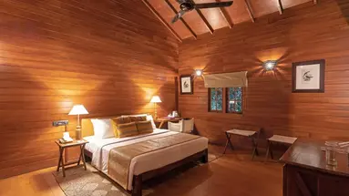 Cinnamon Wild Yala