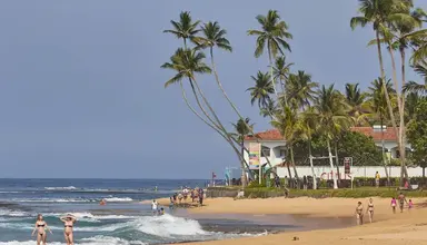 Citrus Hikkaduwa