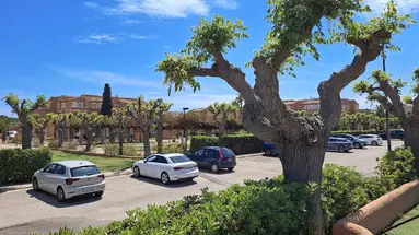 Ciudad Laurel