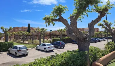Ciudad Laurel