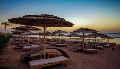 Cleopatra Tsokkos