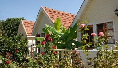 Clover Magic Nova Beach