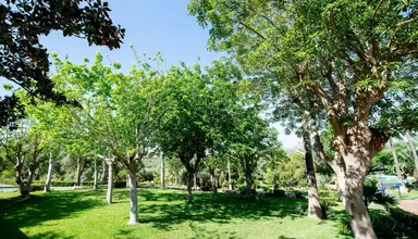 Club Cala Romani