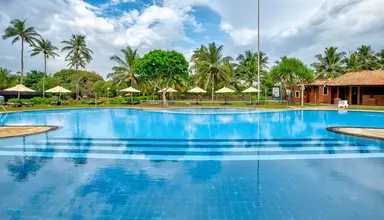 Club Dolphin