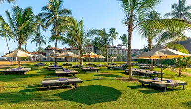 Club Dolphin