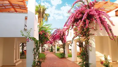 Club Kastalia Holiday Village